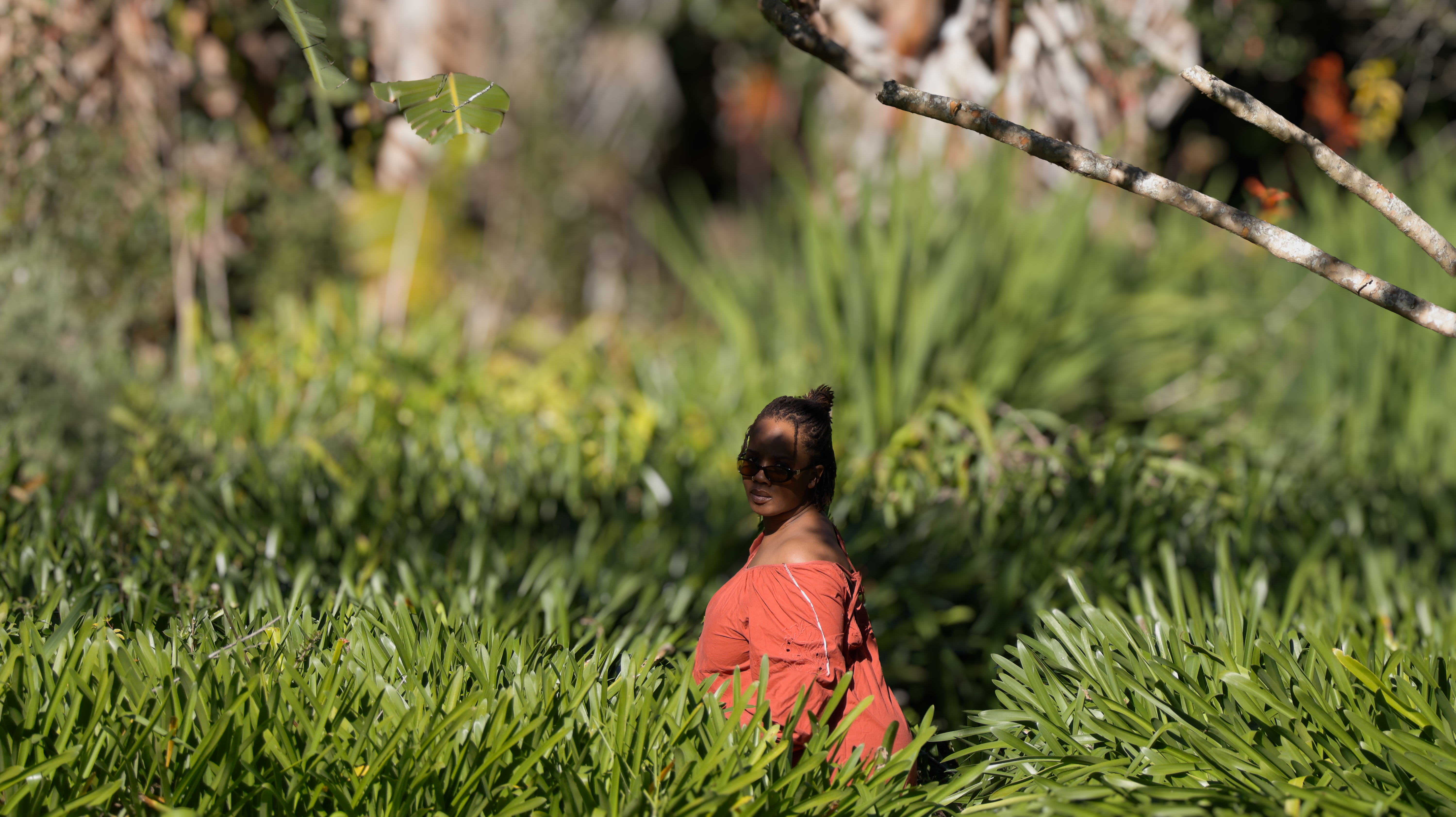 DREAM COUNT 5